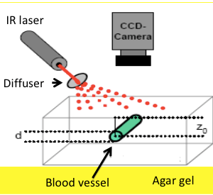 Optical Imaging & Therapy