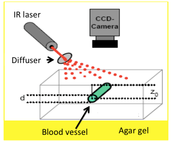Optical Imaging & Therapy